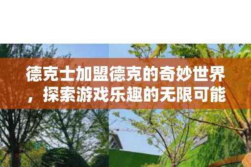 德克士加盟德克的奇妙世界图片