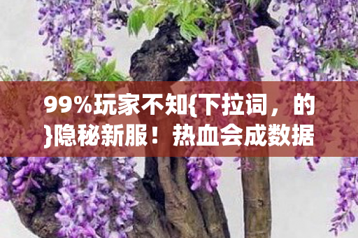 热血会成数据狂欢吗图片