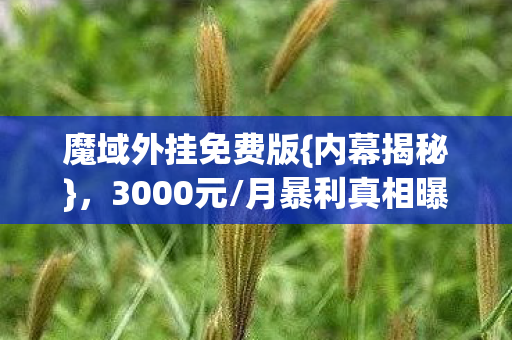 魔域外挂免费版图片