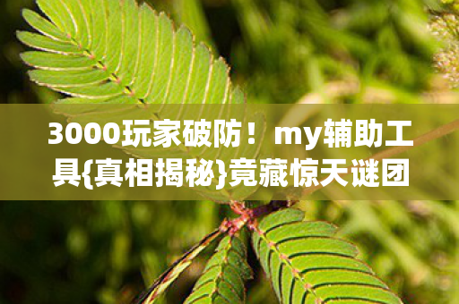 3000玩家破防图片