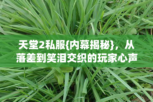 天堂2私服{内幕揭秘},从落差到笑泪交织的玩家心声 天堂2私服{内幕揭秘},从落差到笑泪交织的玩家心声