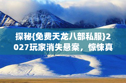 2027玩家消失悬案图片
