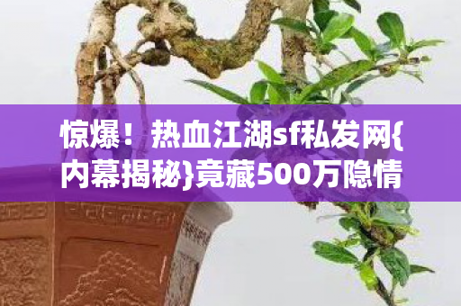 惊爆!热血江湖sf私发网{内幕揭秘}竟藏500万隐情 惊爆!热血江湖sf私发网{内幕揭秘}竟藏500万隐情