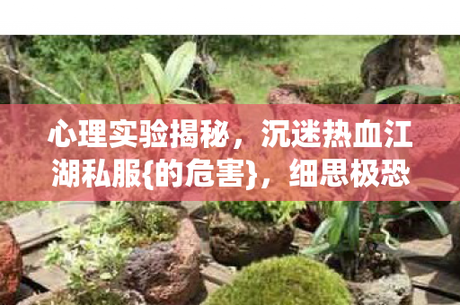 沉迷热血江湖私服图片