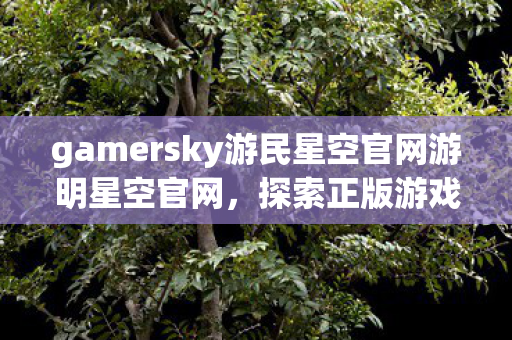 gamersky游民星空官网游明星空官网图片