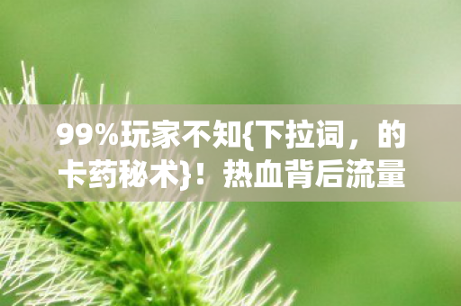 热血背后流量密码揭秘图片
