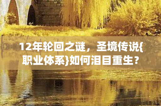 12年轮回之谜图片