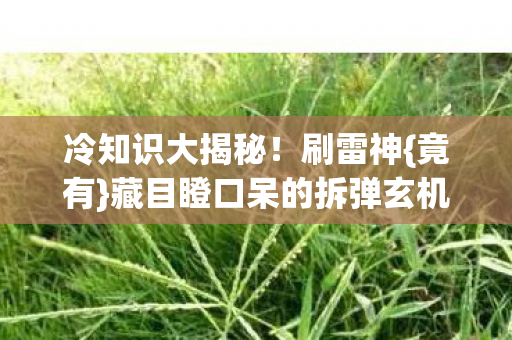 藏目瞪口呆的拆弹玄机图片