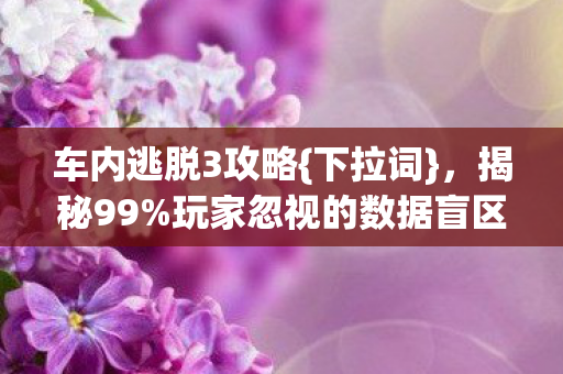 玩家忽视的数据盲区图片