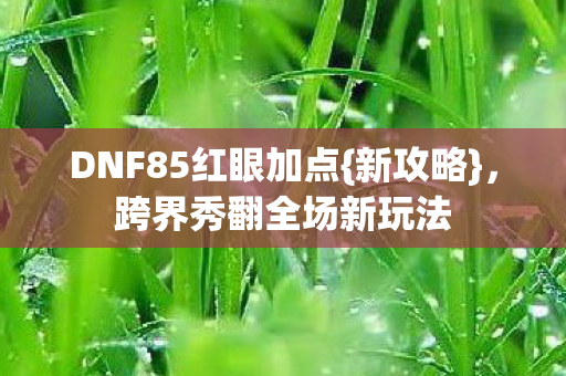DNF85红眼加点图片
