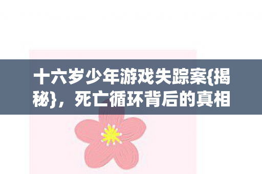 十六岁少年游戏失踪案图片