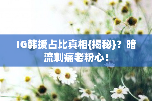 IG韩援占比真相图片