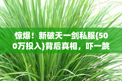 新破天一剑私服图片