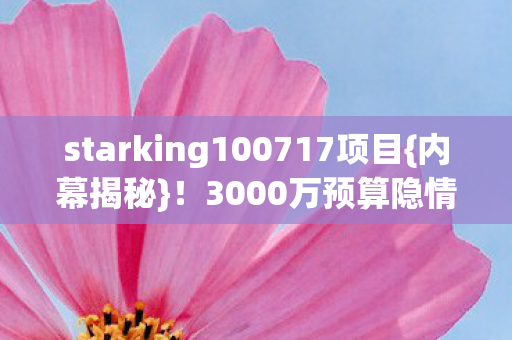 starking100717项目图片