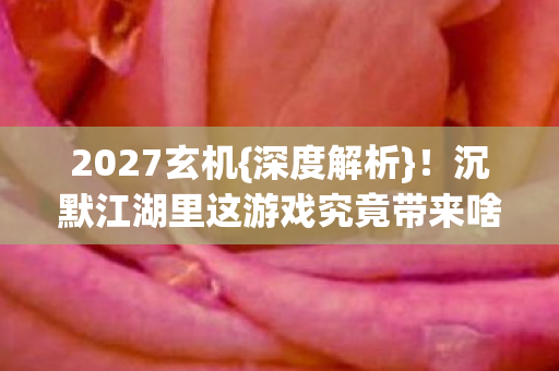 沉默江湖里这游戏究竟带来啥图片