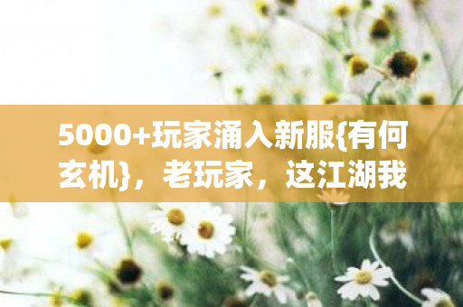 玩家涌入新服图片