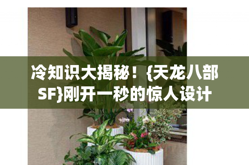 刚开一秒的惊人设计图片