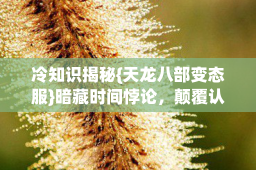 天龙八部变态服图片