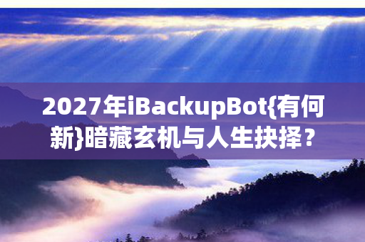 2027年iBackupBot图片