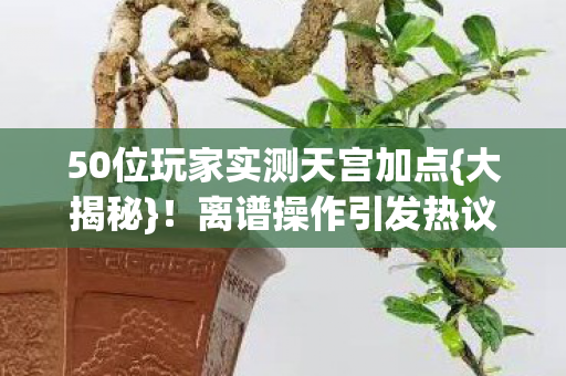 50位玩家实测天宫加点图片