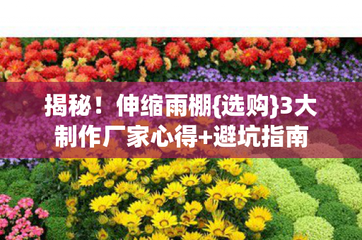 3大制作厂家心得图片