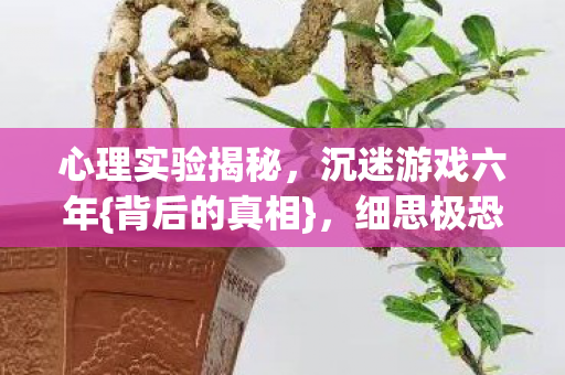 心理实验揭秘图片