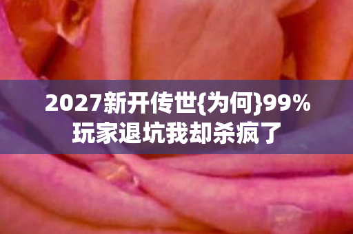 玩家退坑我却杀疯了图片