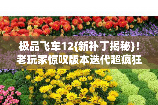 老玩家惊叹版本迭代超疯狂图片