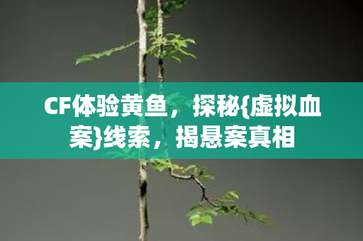 CF体验黄鱼图片