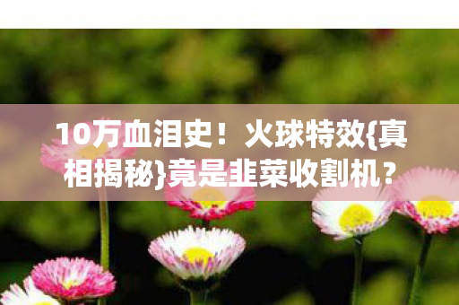 竟是韭菜收割机图片