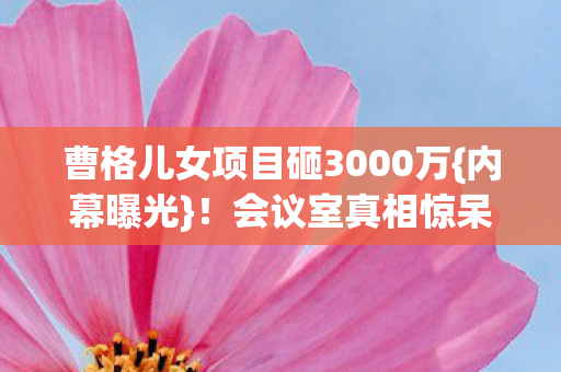 曹格儿女项目砸3000万图片
