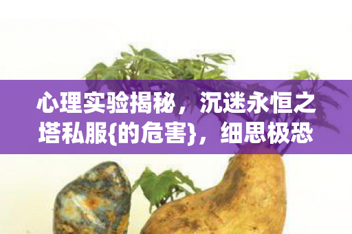 心理实验揭秘，沉迷永恒之塔私服{的危害}，细思极恐