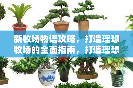 新牧场物语攻略，打造理想牧场的全面指南，打造理想牧场的全面指南，新牧场物语攻略