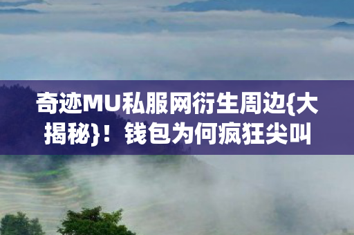 奇迹MU私服网衍生周边图片