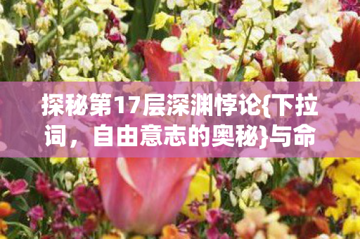 探秘第17层深渊悖论图片