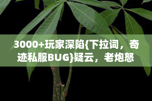奇迹私服BUG图片