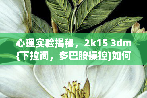 2k15 3dm图片