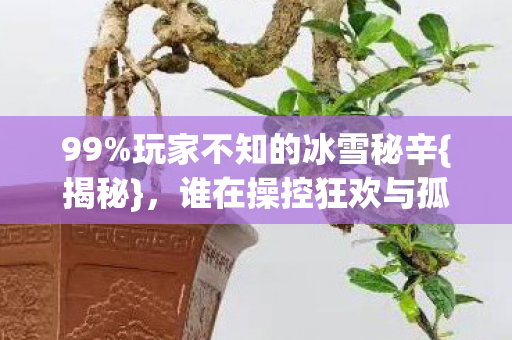 玩家不知的冰雪秘辛图片