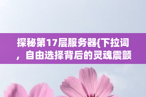 探秘第17层服务器{下拉词,自由选择背后的灵魂震颤} 探秘第17层服务器{下拉词,自由选择背后的灵魂震颤}