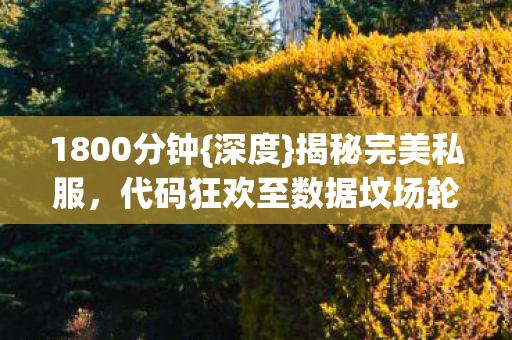 1800分钟{深度}揭秘完美私服，代码狂欢至数据坟场轮回