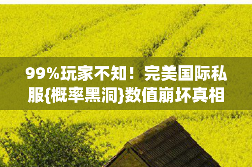 99%玩家不知!完美国际私服{概率黑洞}数值崩坏真相 99%玩家不知!完美国际私服{概率黑洞}数值崩坏真相
