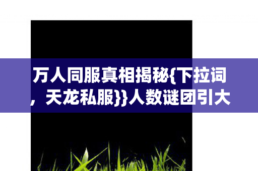 人数谜团引大佬热议图片
