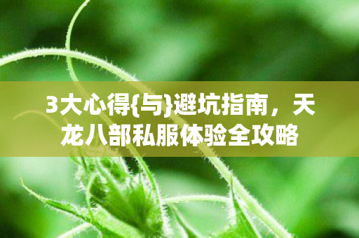 天龙八部私服体验全攻略图片