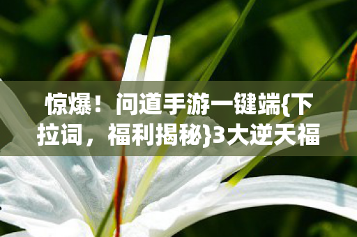 惊爆!问道手游一键端{下拉词,福利揭秘}3大逆天福利等你领 惊爆!问道手游一键端{下拉词,福利揭秘}3大逆天福利等你领