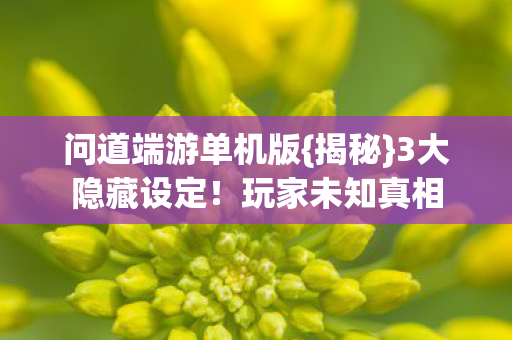 问道端游单机版{揭秘}3大隐藏设定!玩家未知真相 问道端游单机版{揭秘}3大隐藏设定!玩家未知真相