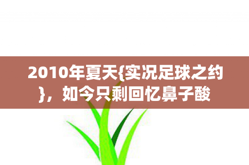 2010年夏天{实况足球之约}，如今只剩回忆鼻子酸