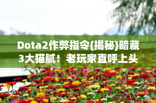 Dota2作弊指令{揭秘}暗藏3大猫腻！老玩家直呼上头