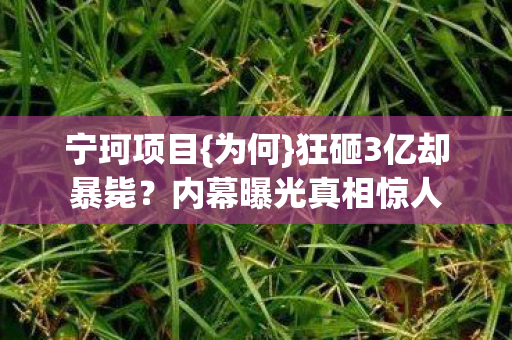 宁珂项目{为何}狂砸3亿却暴毙？内幕曝光真相惊人