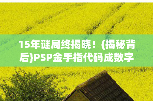 15年谜局终揭晓!{揭秘背后}PSP金手指代码成数字遗书 15年谜局终揭晓!{揭秘背后}PSP金手指代码成数字遗书