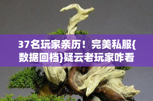 37名玩家亲历!完美私服{数据回档}疑云老玩家咋看 37名玩家亲历!完美私服{数据回档}疑云老玩家咋看